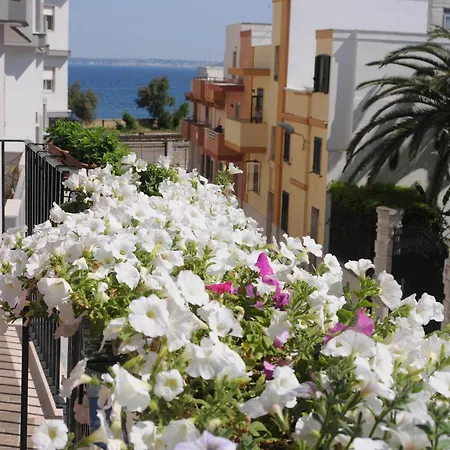Bed & Breakfast L'uomo E Il Mare